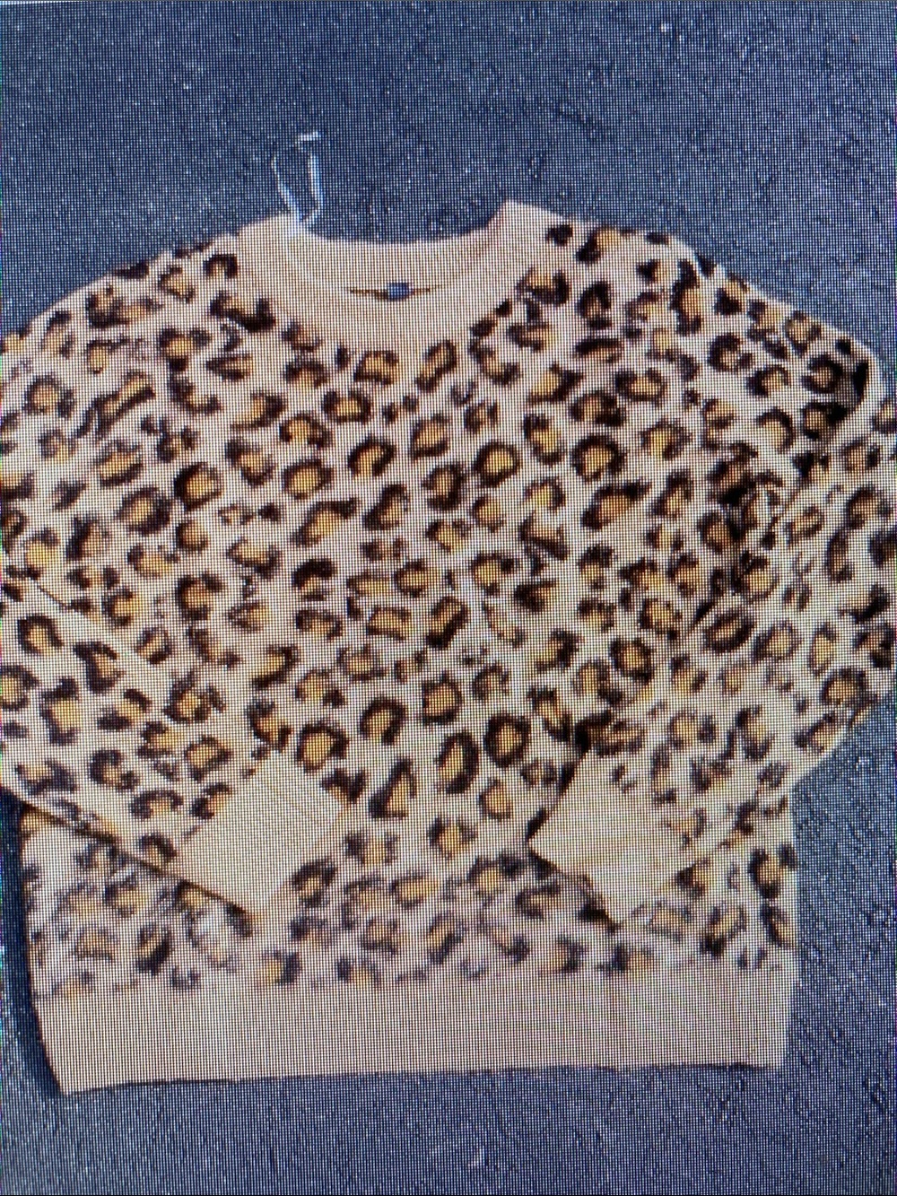 Leopard Print Crewneck Sweater - Cream and Brown